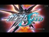 機動戦士ガンダムSEED 49 終末の光