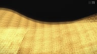 2588:10:00000012.jpg
