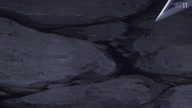 2588:12:00000071.jpg