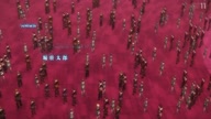 2588:13:00000017.jpg