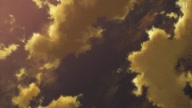 2588:14:00000113.jpg