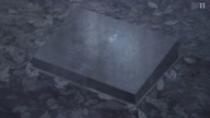 2588:6:00000127.jpg