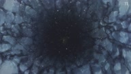 2588:7:00000067.jpg