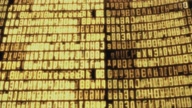 2588:8:00000013.jpg