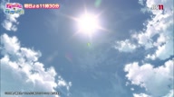2588:8:00000178.jpg