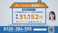 350:967:00000171.jpg