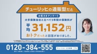 350:970:00000171.jpg