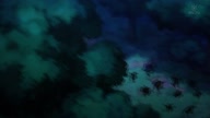 350:975:00000069.jpg