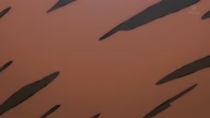 350:976:00000132.jpg