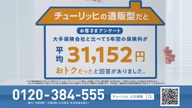 350:977:00000117.jpg