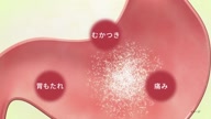 350:979:00000123.jpg