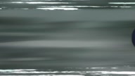 350:987:00000060.jpg