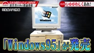350:990:00000184.jpg