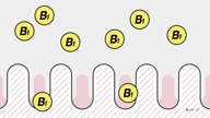 350:992:00000021.jpg