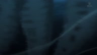 350:992:00000067.jpg