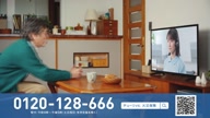 3953:546:00000146.jpg