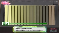 3953:548:00000039.jpg