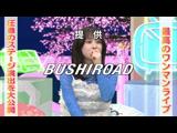アニゲー☆イレブン！ 541 ゲスト：REAL AKIBA BOYZ