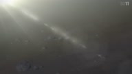 5053:5:00000155.jpg