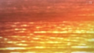 5053:6:00000056.jpg