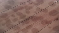 5053:6:00000110.jpg