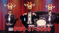 518:118:00000095.jpg