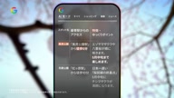518:1199:00000178.jpg