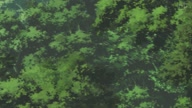 518:1202:00000049.jpg