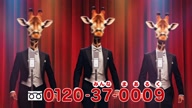518:1210:00000107.jpg
