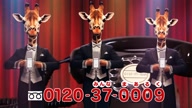 518:1210:00000108.jpg