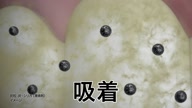 518:1213:00000019.jpg