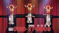 518:1216:00000081.jpg