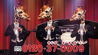 518:423:00000020.jpg