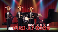 518:423:00000021.jpg