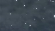5330:9:00000021.jpg