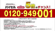 6282:1:00000174.jpg