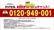 6282:2:00000173.jpg