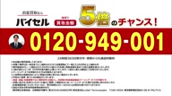 6282:3:00000174.jpg