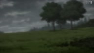 6441:38:00000127.jpg