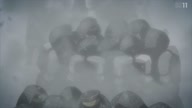 6441:39:00000120.jpg