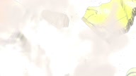 6596:27:00000012.jpg