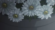 6596:35:00000185.jpg