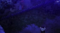 6662:1:00000100.jpg