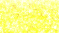 6694:133:00000071.jpg