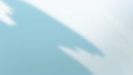 6694:137:00000105.jpg