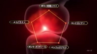 6694:141:00000181.jpg
