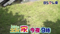 6694:144:00000003.jpg