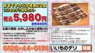 6716:10:00000181.jpg