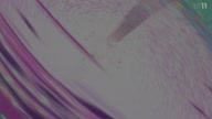 7364:12:00000140.jpg