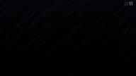 7364:3:00000135.jpg
